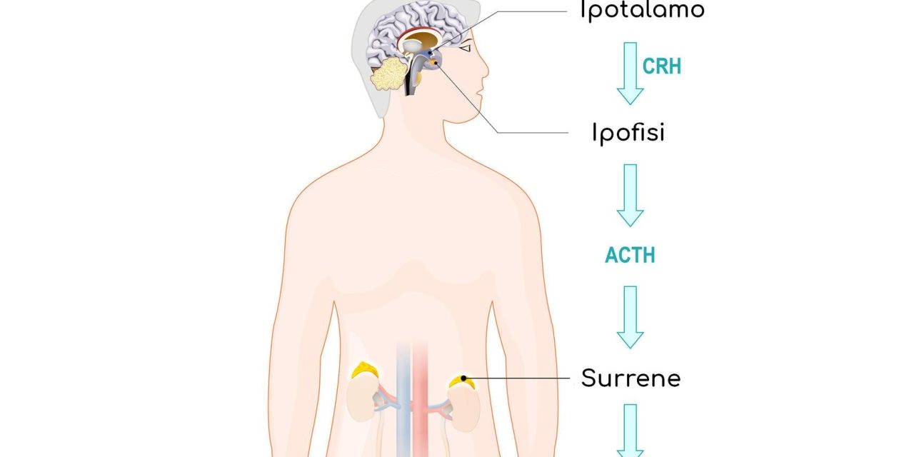 Cortisolo: come gestire l’ormone dello stress per vivere meglio.