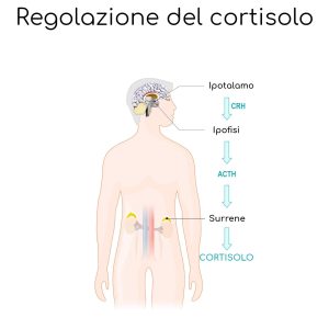Cortisolo: come gestire l’ormone dello stress per vivere meglio.