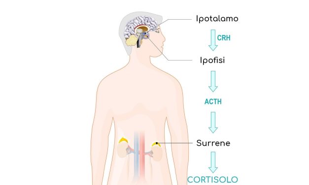 Cortisolo: come gestire l’ormone dello stress per vivere meglio.