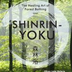 Shinrin-yoku: la terapia del bosco e i suoi benefici provati.