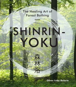Shinrin-yoku: la terapia del bosco e i suoi benefici provati.