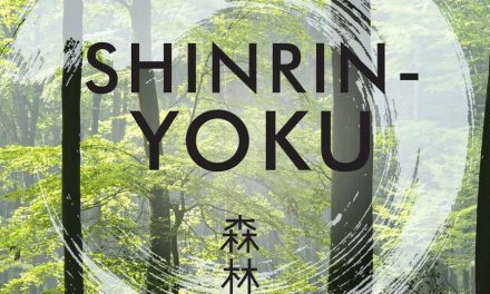 Shinrin-yoku: la terapia del bosco e i suoi benefici provati.