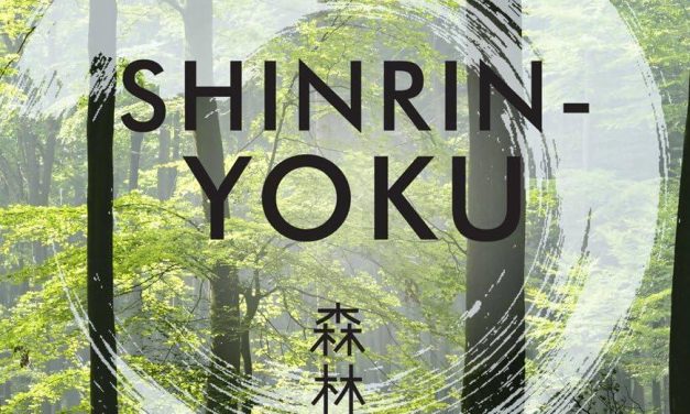 Shinrin-yoku: la terapia del bosco e i suoi benefici provati.