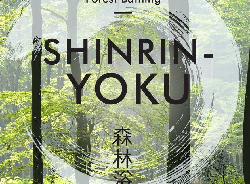 Shinrin-yoku: la terapia del bosco e i suoi benefici provati.