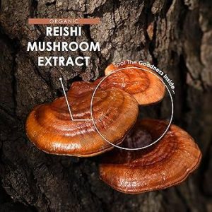 Funghi medicinali (Reishi, Shiitake): i veri potenziatori immunitari.