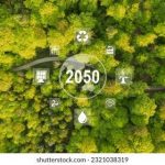 Endometriosi: strategie naturali e scientifiche per gestire il dolore.