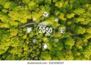 Endometriosi: strategie naturali e scientifiche per gestire il dolore.