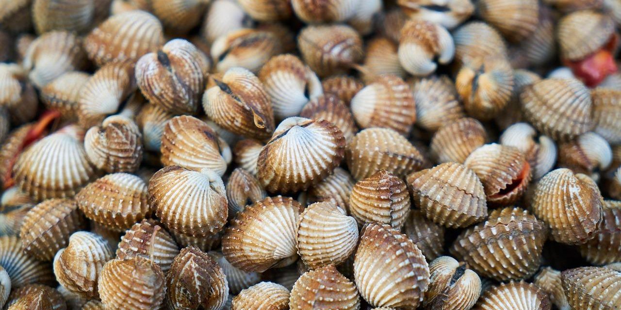 Psoriasi: non solo pelle, le implicazioni sistemiche da conoscere.