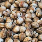 Psoriasi: non solo pelle, le implicazioni sistemiche da conoscere.