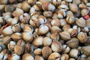 Psoriasi: non solo pelle, le implicazioni sistemiche da conoscere.