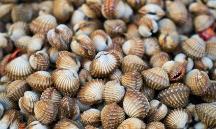 Psoriasi: non solo pelle, le implicazioni sistemiche da conoscere.