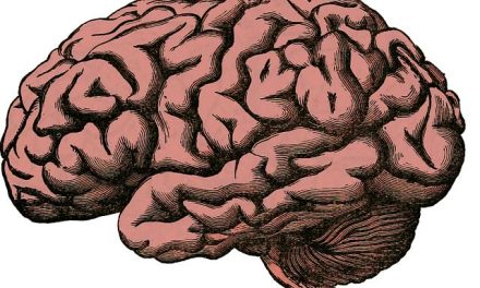 Neuroinfiammazione: la radice silente di molti disturbi cronici.
