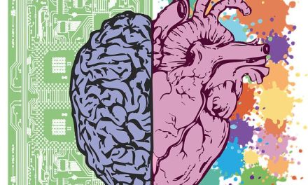 Propriocezione: allenare l’equilibrio per prevenire gli infortuni.