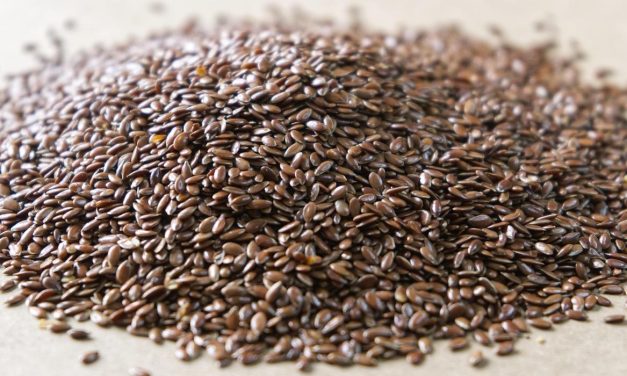 Acidi grassi Omega-3, 6, 9: qual è il giusto rapporto per la tua salute?