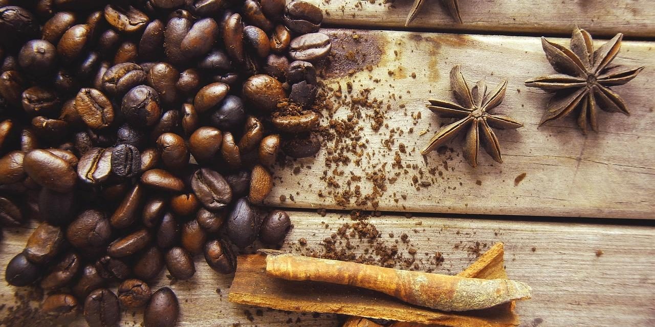 Aromacologia: come i profumi influenzano umore e comportamento.