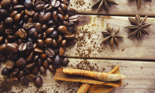 Aromacologia: come i profumi influenzano umore e comportamento.