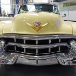 Fascia connettivale: il nostro “secondo scheletro” da allenare.