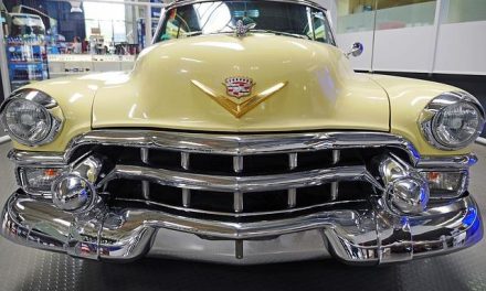 Fascia connettivale: il nostro “secondo scheletro” da allenare.