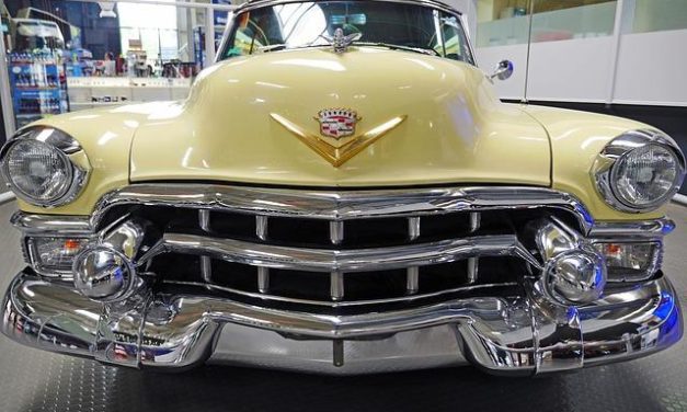 Fascia connettivale: il nostro “secondo scheletro” da allenare.