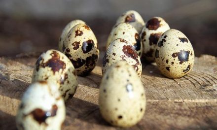 Il mito delle proteine: quante ne servono davvero al nostro corpo?