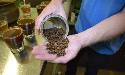 Coppettazione (Cupping): cosa fa davvero al nostro corpo questa tecnica.