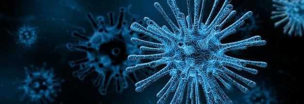 Nefroni: i microscopici filtri che purificano il nostro sangue.