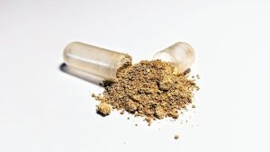 Ashwagandha: l’adattogeno indiano contro lo stress moderno.