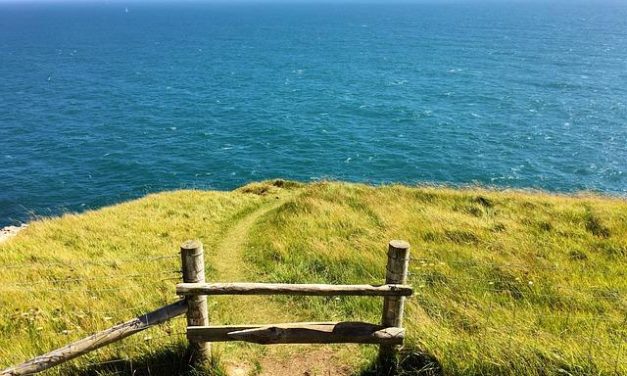 Epigenetica: come il tuo stile di vita può cambiare il tuo DNA.