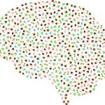 Mindful eating: come trasformare per sempre il tuo rapporto con il cibo.