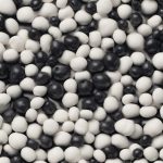 Mirtillo nero e antocianine: un supporto naturale per la microcircolazione
