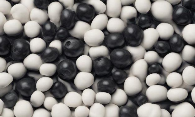 Mirtillo nero e antocianine: un supporto naturale per la microcircolazione